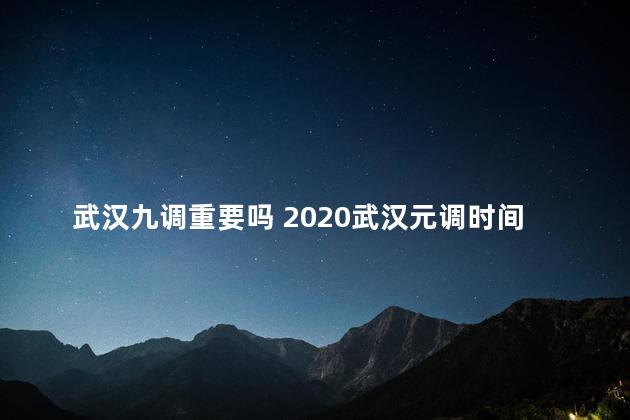 武汉九调重要吗 2020武汉元调时间